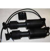 Cylinder  Pair - 3000000912X - Ocean Technologies